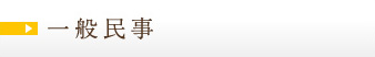 一般民事