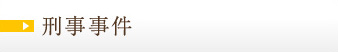 刑事事件